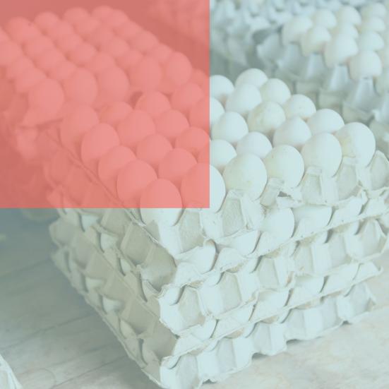 Grafik: Delingstjenesten